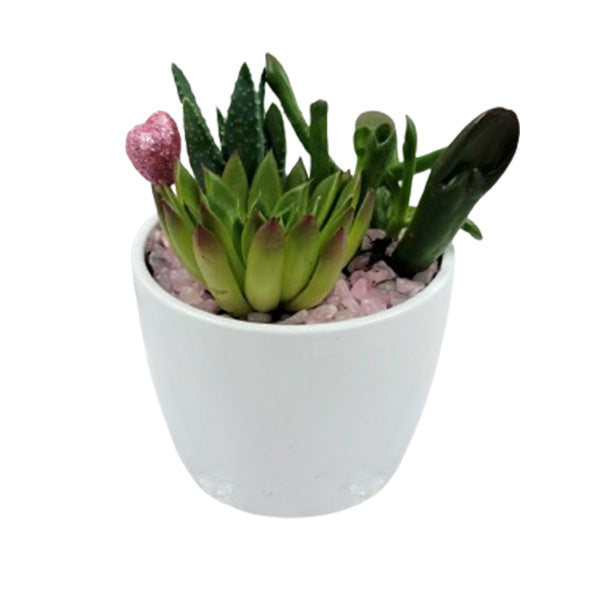 VALENTINE - LOVE POT WHITE EA