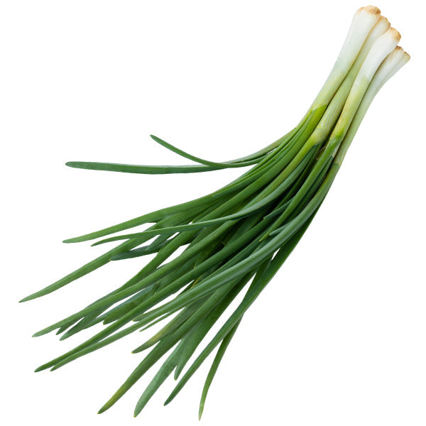 VEGETABLES - ONIONS GREEN CASE 48 EA