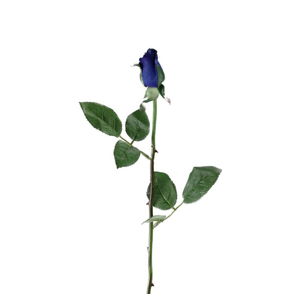 FARM TO CANADA - GARDEN ROSE ASSORTED 12EA