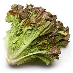 VEGETABLES - LETTUCE RED LEAF REPACK 3 EA