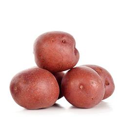 VEGETABLES - POTATOES RED MINI REPACK 5 LBS