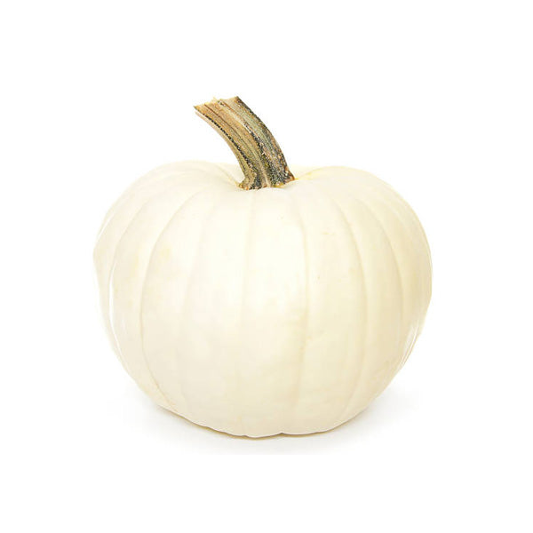 VEGETABLES - PUMPKIN MINI CASE