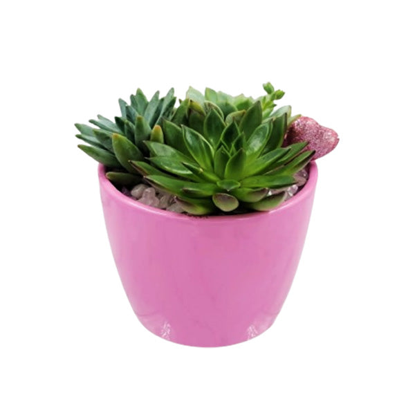 VALENTINE - LOVE POT PINK EA