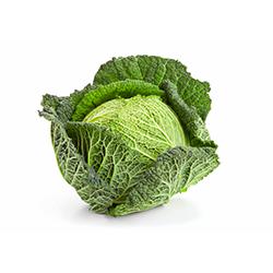 VEGETABLES - CABBAGE SAVOY 1EA