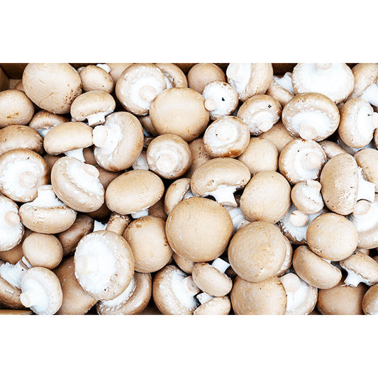 VEGETABLES - MUSHROOMS # 1 BULK 5 LBS