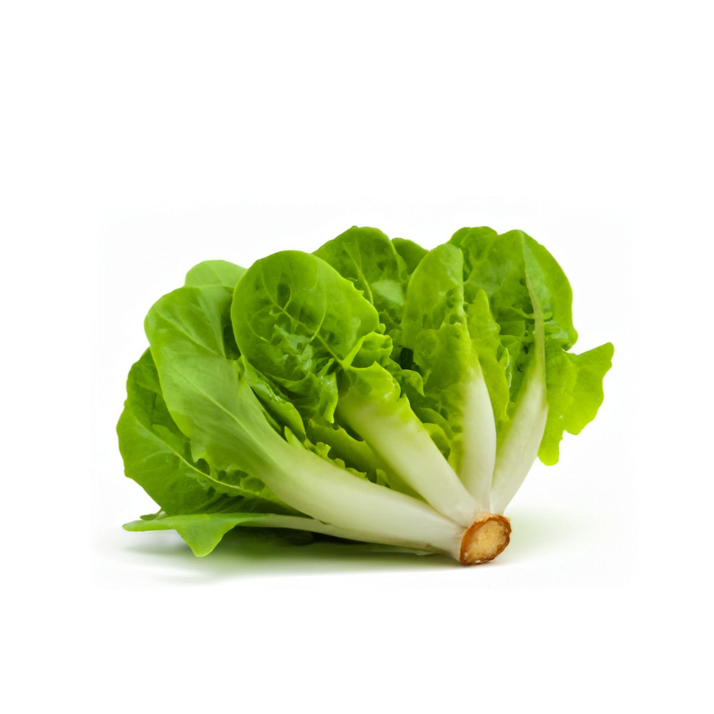 VEGETABLES - LETTUCE ROMAINE HEARTS CASE 7 X 6 EA