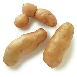 VEGETABLES - POTATOES FINGERLING 5 LBS