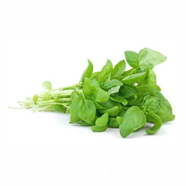 VEGETABLES - BASIL GREEN REPACK 3  EA