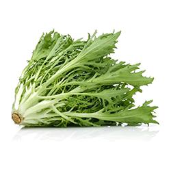 VEGETABLES - LETTUCE WITLOOF ENDIVES  REPACK 2.5 LBS
