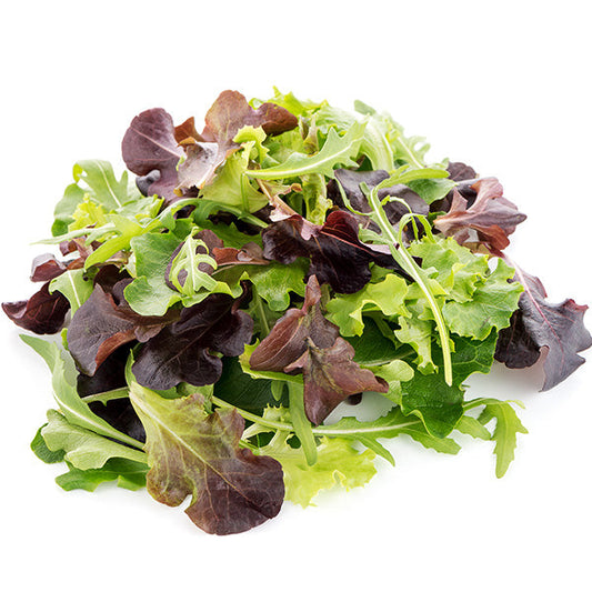 VEGETABLES - SPRING MIX  CASE 3 LBS