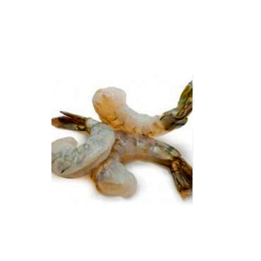 TOPPITS - SHRIMP BLACK TIGER 26/30 2LB