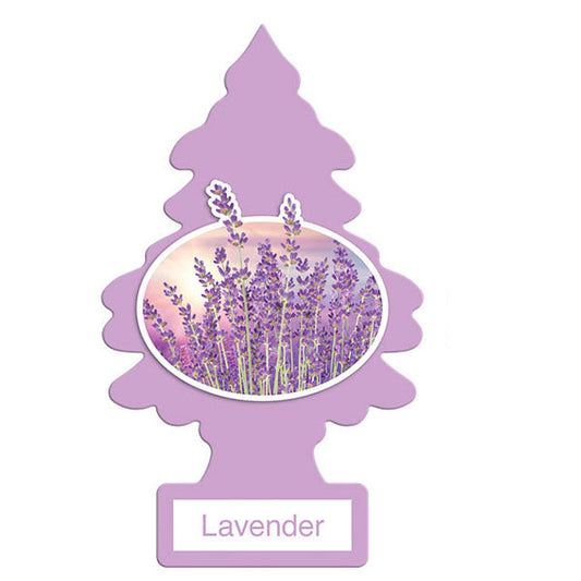 LITTLE TREE - LT CAR FRESHENER LAVENDER 24EA